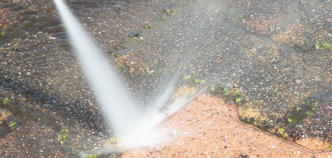 Paver Pressure Washing and Cleaning Service